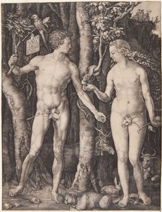 Adam and Eve by Albrecht Dürer