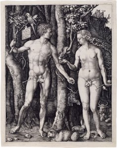 Adam and Eve by Albrecht Dürer
