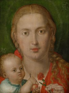 The Madonna with the Carnation by Albrecht Dürer