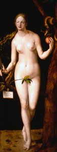 Eve, 1507 by Albrecht Dürer