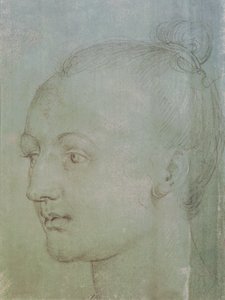 Head of a Young Woman