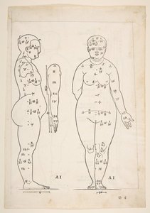 Illustration from Dürer