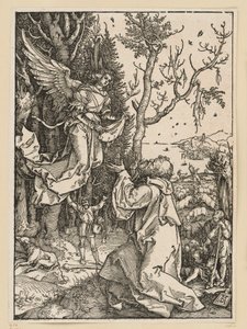 Joachim and the Angel (Life of Mary) by Albrecht Dürer