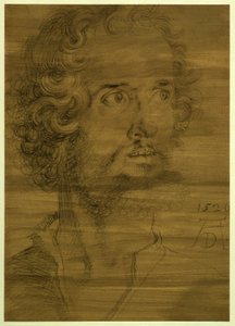 Head of the Evangelist Mark by Albrecht Dürer
