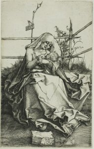 Madonna on a Grassy Bank