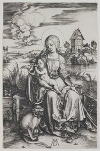 Madonna with the Monkey by Albrecht Dürer