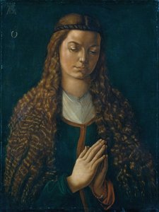 Portrait of a Young Woman