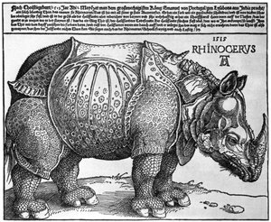 Rhinoceros, print given to Maximilian I by the King of Lisbon by Albrecht Dürer