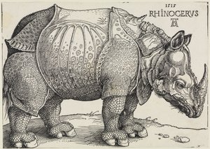 Rhinocerus (The Rhinoceros) by Albrecht Dürer