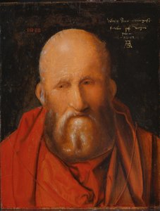 Saint Jerome by Albrecht Dürer
