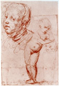 Studies, 1913 by Albrecht Dürer