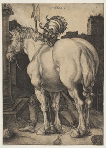 The Great Horse by Albrecht Dürer