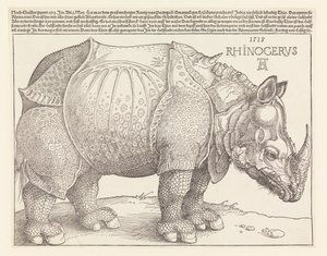 The Rhinoceros by Albrecht Dürer