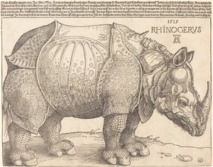 The Rhinoceros by Albrecht Dürer