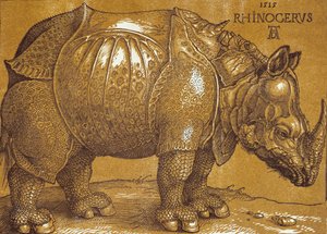 The Rhinoceros by Albrecht Dürer