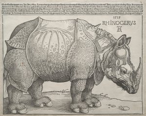 The Rhinoceros, 1515 by Albrecht Dürer