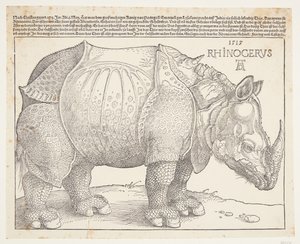 The Rhinoceros by Albrecht Dürer