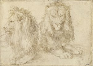 Two Seated Lions by Albrecht Dürer