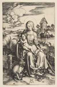 Virgin and Child with the Monkey by Albrecht Dürer
