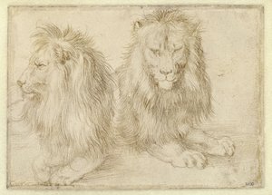 Two Reclining Lions by Albrecht Dürer