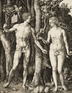 Adam and Eve by Albrecht Dürer