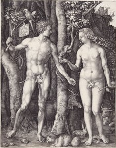 Adam and Eve