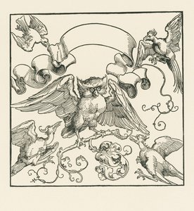 An Owl Attacked by Four Other Birds by Albrecht Dürer or Duerer