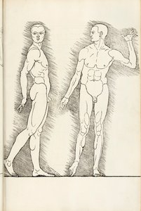 Anatomical woodcut from Hierinn sind begriffen vier Bücher von menschlicher Proportion, 1528 by Albrecht Dürer