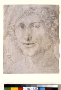 Head of a Young Man by Albrecht Dürer