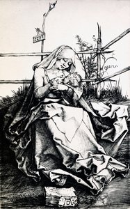 Madonna and Child in a Fence