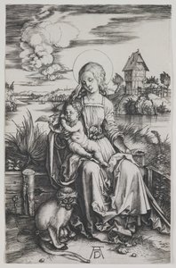 Madonna with the Monkey by Albrecht Dürer or Duerer