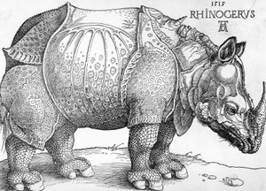 Rhinoceros by Albrecht Dürer