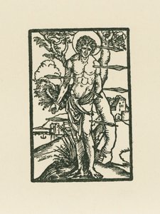 Saint Sebastian by Albrecht Dürer or Duerer