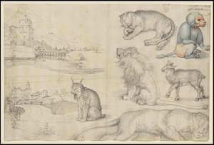 Sketches of Animals and Landscapes, 1521 by Albrecht Dürer