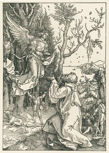 The Angel Bringing the Message to Joachim by Albrecht Dürer or Duerer