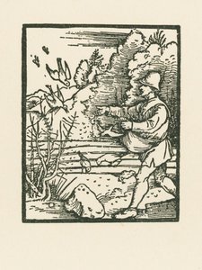 The Parable of the Sower by Albrecht Dürer or Duerer