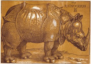 The Rhinoceros by Albrecht Dürer or Duerer