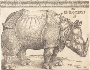 The Rhinoceros by Albrecht Dürer