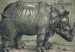 The Rhinoceros by Albrecht Dürer