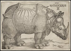 The Rhinoceros by Albrecht Dürer