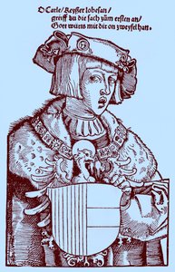 Youth Charles V (1500-1558) (engraving) by Albrecht Dürer