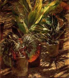 Begonias by Aleksander Gierymski