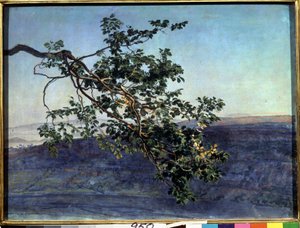 The Branch