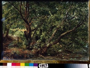 The Trees by the River by Aleksandr Andreevich Ivanov