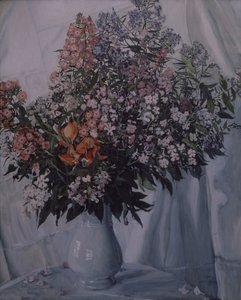 Still life. Phloxes