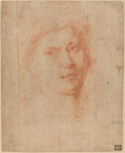 Head of a Youth by Alessandro Allori