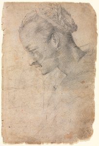 Profile of a Woman
