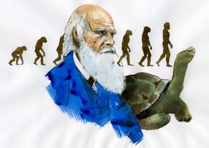 Portrait of Charles Darwin (Illustration)
