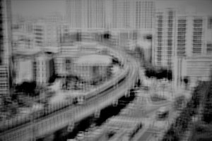 City, 2019