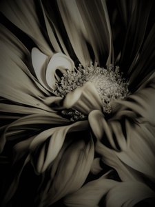 Inner space by Alex Caminker